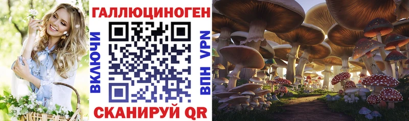 закладка  Вытегра  Галлюциногенные грибы GOLDEN TEACHER 
